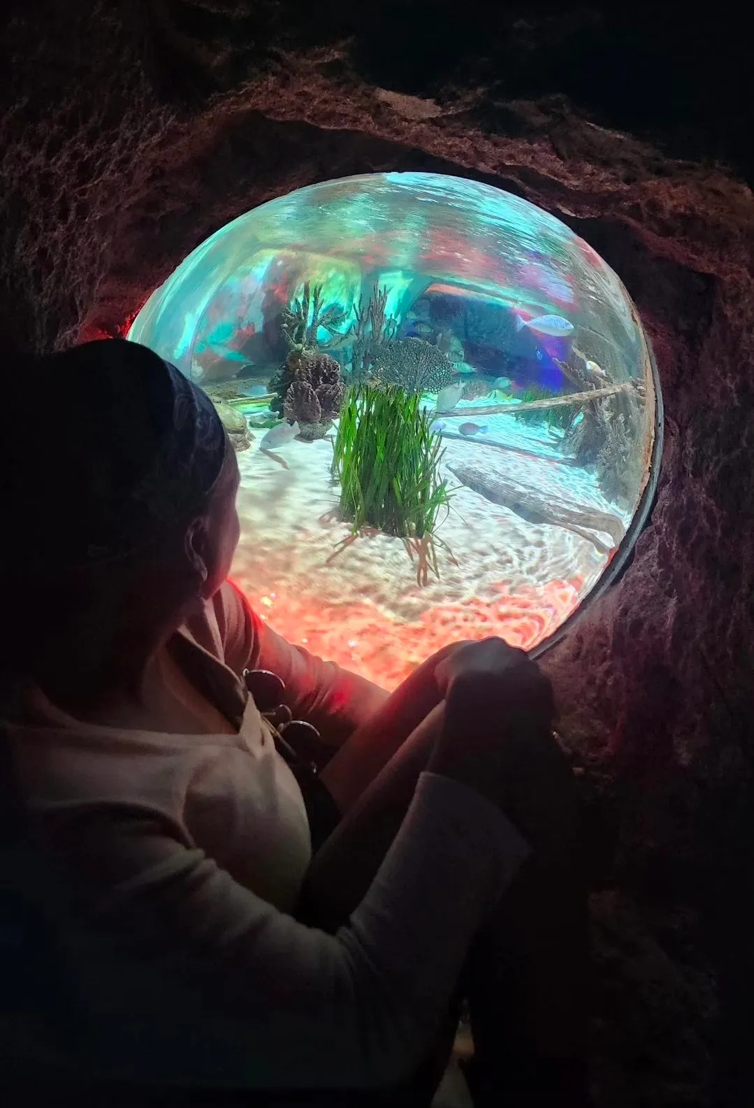 A person looking into a round aquarium window